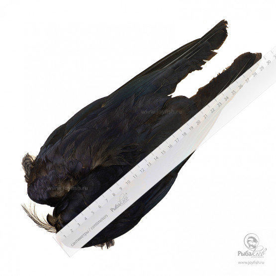 Крылья Вороны Veniard Crow Wings